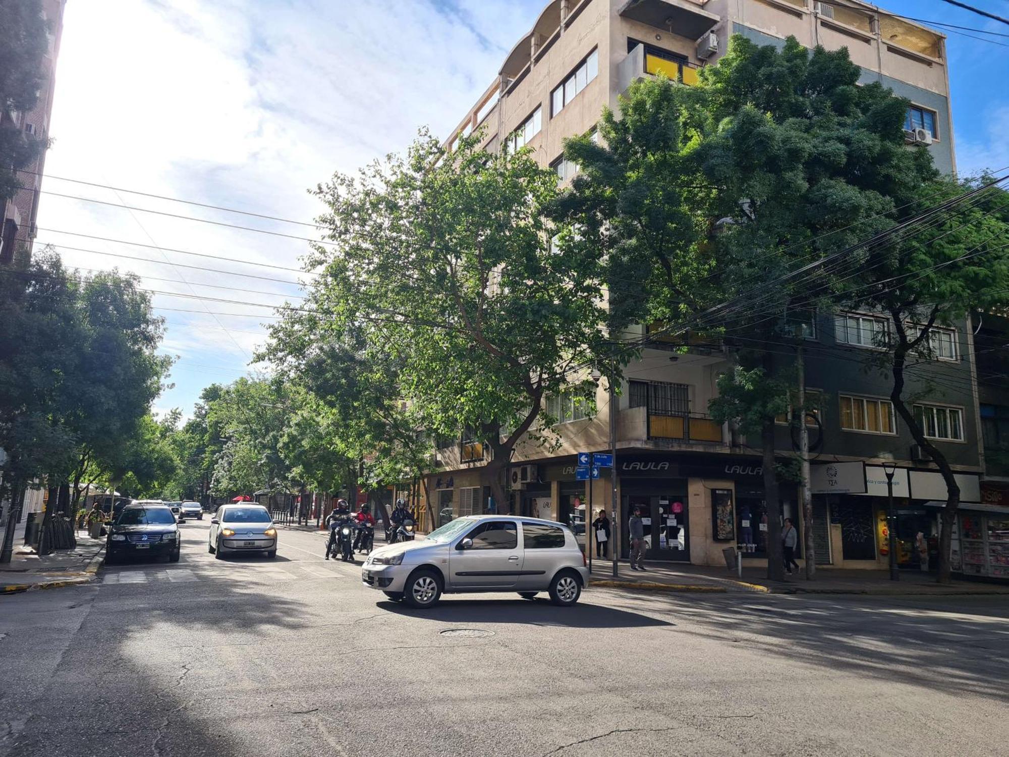 Appartamento Bauza Ribot Departamento Boutique En Mendoza Esterno foto